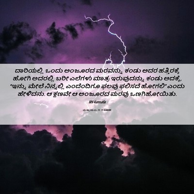 Picture 06 - ಮತ್ತಾಯನು 21:19 KANIRV - ದಾರಿಯಲ್ಲಿ ಒಂದು - Bible Verse Picture