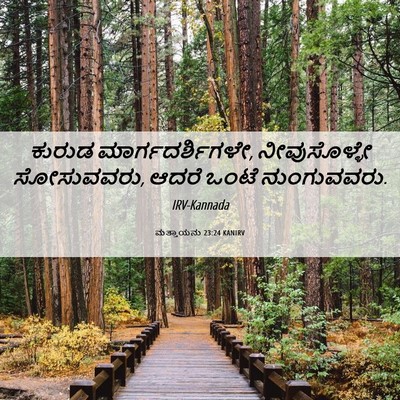 Picture 06 - ಮತ್ತಾಯನು 23:24 KANIRV - ಕುರುಡ - Bible Verse Picture