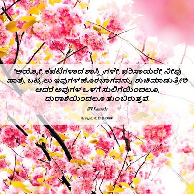 Picture 06 - ಮತ್ತಾಯನು 23:25 KANIRV - “ಅಯ್ಯೋ, ಕಪಟಿಗಳಾದ - Bible Verse Picture