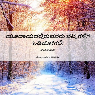 Picture 06 - ಮತ್ತಾಯನು 24:16 KANIRV - ಯೂದಾಯದಲ್ಲಿರುವವರು - Bible Verse Picture