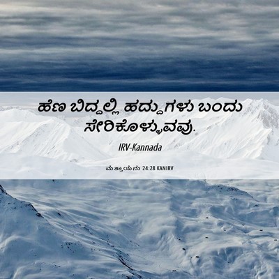 Picture 06 - ಮತ್ತಾಯನು 24:28 KANIRV - ಹೆಣ ಬಿದ್ದಲ್ಲಿ - Bible Verse Picture