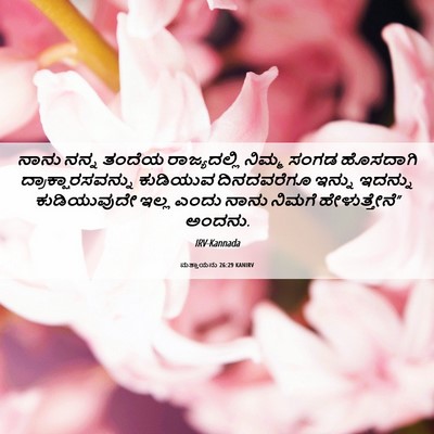 Picture 06 - ಮತ್ತಾಯನು 26:29 KANIRV - ನಾನು ನನ್ನ ತಂದೆಯ - Bible Verse Picture