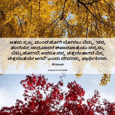 Picture 06 - ಮತ್ತಾಯನು 26:39 KANIRV - ಆತನು ಸ್ವಲ್ಪ ಮುಂದೆ - Bible Verse Picture