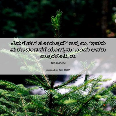 Picture 06 - ಮತ್ತಾಯನು 26:66 KANIRV - ನಿಮಗೆ ಹೇಗೆ - Bible Verse Picture
