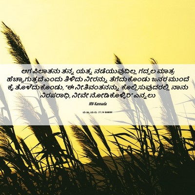 Picture 06 - ಮತ್ತಾಯನು 27:24 KANIRV - ಆಗ ಪಿಲಾತನು ತನ್ನ - Bible Verse Picture