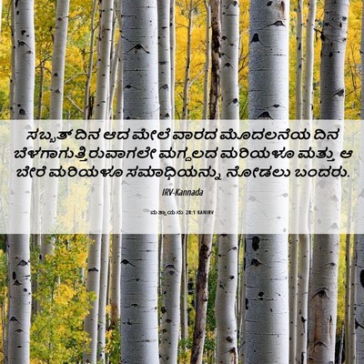 Picture 06 - ಮತ್ತಾಯನು 28:1 KANIRV - ಸಬ್ಬತ್ ದಿನ ಆದ ಮೇಲೆ - Bible Verse Picture