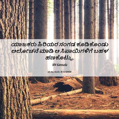 Picture 06 - ಮತ್ತಾಯನು 28:12 KANIRV - ಯಾಜಕರು ಹಿರಿಯರ - Bible Verse Picture