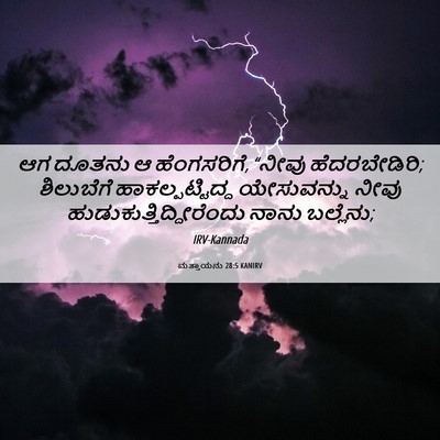 Picture 06 - ಮತ್ತಾಯನು 28:5 KANIRV - ಆಗ ದೂತನು ಆ - Bible Verse Picture