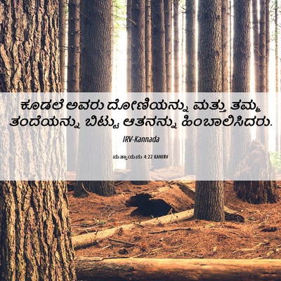 Picture 06 - ಮತ್ತಾಯನು 4:22 KANIRV - ಕೂಡಲೆ ಅವರು - Bible Verse Picture