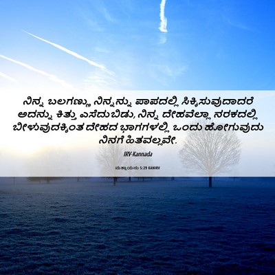 Picture 06 - ಮತ್ತಾಯನು 5:29 KANIRV - ನಿನ್ನ ಬಲಗಣ್ಣು - Bible Verse Picture