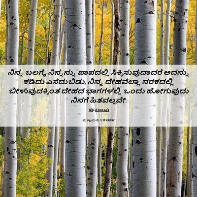 Picture 06 - ಮತ್ತಾಯನು 5:30 KANIRV - ನಿನ್ನ ಬಲಗೈ - Bible Verse Picture