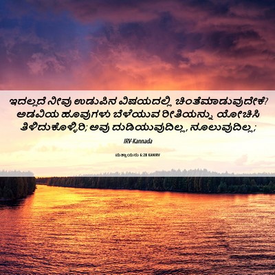 Picture 06 - ಮತ್ತಾಯನು 6:28 KANIRV - ಇದಲ್ಲದೆ ನೀವು - Bible Verse Picture