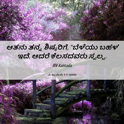 Picture 06 - ಮತ್ತಾಯನು 9:37 KANIRV - ಆತನು ತನ್ನ - Bible Verse Picture