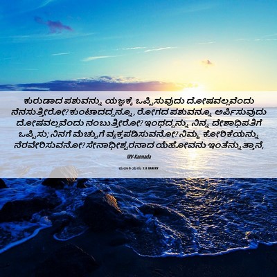 Picture 06 - ಮಲಾಕಿಯನು 1:8 KANIRV - ಕುರುಡಾದ ಪಶುವನ್ನು - Bible Verse Picture
