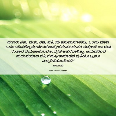 Picture 06 - ಮಲಾಕಿಯನು 2:15 KANIRV - ದೇವರು ನಿನ್ನ ಮತ್ತು - Bible Verse Picture