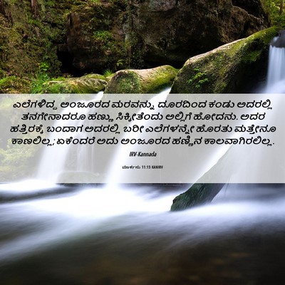 Picture 06 - ಮಾರ್ಕನು 11:13 KANIRV - ಎಲೆಗಳಿದ್ದ ಅಂಜೂರದ - Bible Verse Picture