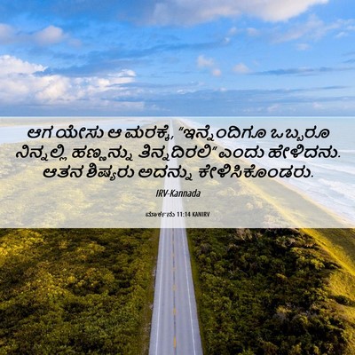 Picture 06 - ಮಾರ್ಕನು 11:14 KANIRV - ಆಗ ಯೇಸು ಆ ಮರಕ್ಕೆ, - Bible Verse Picture
