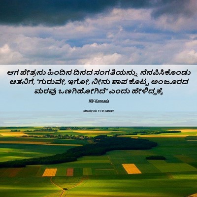 Picture 06 - ಮಾರ್ಕನು 11:21 KANIRV - ಆಗ ಪೇತ್ರನು ಹಿಂದಿನ - Bible Verse Picture