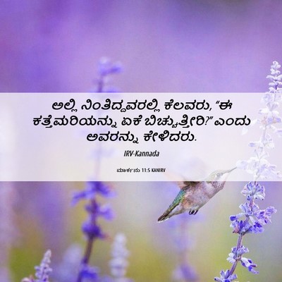 Picture 06 - ಮಾರ್ಕನು 11:5 KANIRV - ಅಲ್ಲಿ - Bible Verse Picture