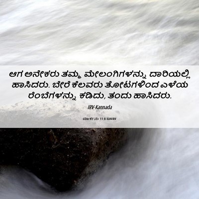 Picture 06 - ಮಾರ್ಕನು 11:8 KANIRV - ಆಗ ಅನೇಕರು ತಮ್ಮ - Bible Verse Picture