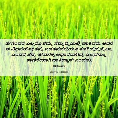Picture 06 - ಮಾರ್ಕನು 12:44 KANIRV - ಹೇಗೆಂದರೆ, ಎಲ್ಲರೂ - Bible Verse Picture