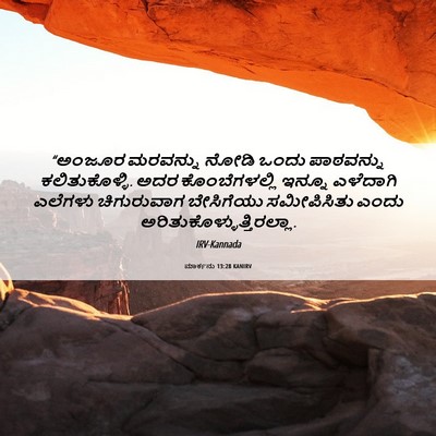 Picture 06 - ಮಾರ್ಕನು 13:28 KANIRV - “ಅಂಜೂರ ಮರವನ್ನು - Bible Verse Picture