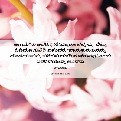 Picture 06 - ಮಾರ್ಕನು 14:27 KANIRV - ಆಗ ಯೇಸು ಅವರಿಗೆ, - Bible Verse Picture