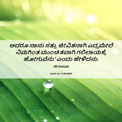 Picture 06 - ಮಾರ್ಕನು 14:28 KANIRV - ಆದರೂ ನಾನು ಸತ್ತು - Bible Verse Picture