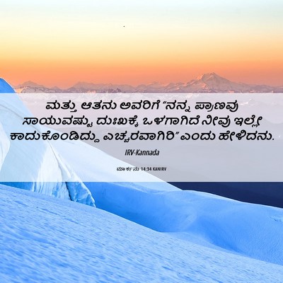 Picture 06 - ಮಾರ್ಕನು 14:34 KANIRV - ಮತ್ತು ಆತನು ಅವರಿಗೆ - Bible Verse Picture