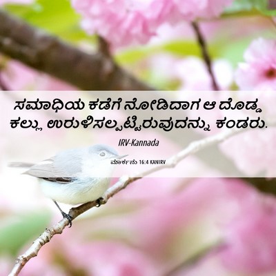 Picture 06 - ಮಾರ್ಕನು 16:4 KANIRV - ಸಮಾಧಿಯ ಕಡೆಗೆ - Bible Verse Picture