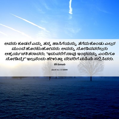 Picture 06 - ಮಾರ್ಕನು 2:12 KANIRV - ಅವನು ಕೂಡಲೆ ಎದ್ದು - Bible Verse Picture