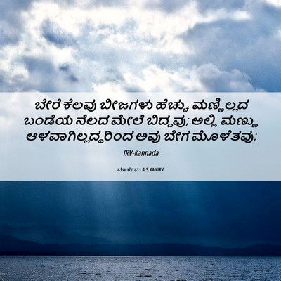 Picture 06 - ಮಾರ್ಕನು 4:5 KANIRV - ಬೇರೆ ಕೆಲವು ಬೀಜಗಳು - Bible Verse Picture