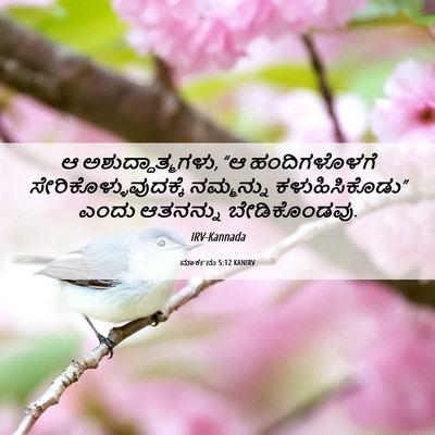 Picture 06 - ಮಾರ್ಕನು 5:12 KANIRV - ಆ ಅಶುದ್ಧಾತ್ಮಗಳು, - Bible Verse Picture