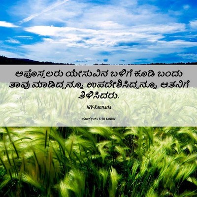Picture 06 - ಮಾರ್ಕನು 6:30 KANIRV - ಅಪೊಸ್ತಲರು ಯೇಸುವಿನ - Bible Verse Picture