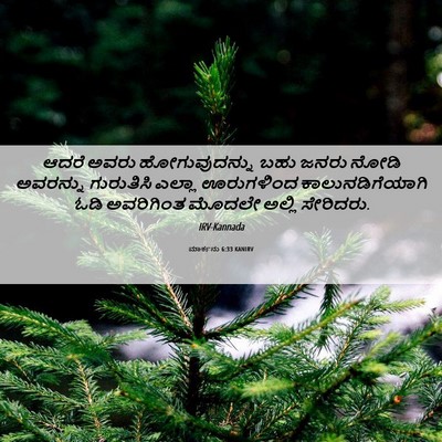 Picture 06 - ಮಾರ್ಕನು 6:33 KANIRV - ಆದರೆ ಅವರು - Bible Verse Picture