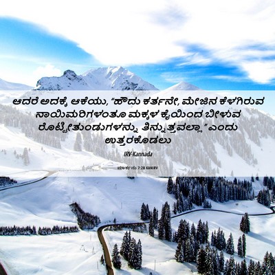 Picture 06 - ಮಾರ್ಕನು 7:28 KANIRV - ಆದರೆ ಅದಕ್ಕೆ ಆಕೆಯು, - Bible Verse Picture