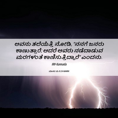 Picture 06 - ಮಾರ್ಕನು 8:24 KANIRV - ಅವನು ತಲೆಯೆತ್ತಿ - Bible Verse Picture