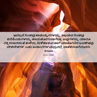 Picture 06 - ಮೀಕನು 5:8 KANIRV - ಇದಲ್ಲದೆ ಸಿಂಹವು - Bible Verse Picture