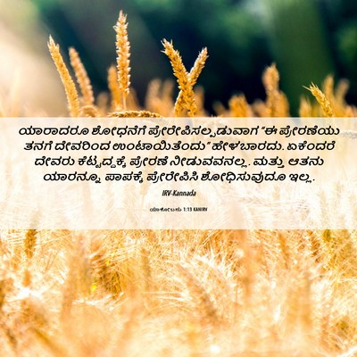 Picture 06 - ಯಾಕೋಬನು 1:13 KANIRV - ಯಾರಾದರೂ ಶೋಧನೆಗೆ - Bible Verse Picture