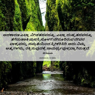 Picture 06 - ಯಾಕೋಬನು 1:21 KANIRV - ಆದಕಾರಣ ಎಲ್ಲಾ - Bible Verse Picture