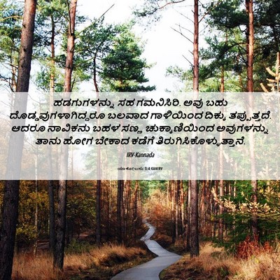 Picture 06 - ಯಾಕೋಬನು 3:4 KANIRV - ಹಡಗುಗಳನ್ನು ಸಹ - Bible Verse Picture