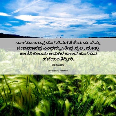 Picture 06 - ಯಾಕೋಬನು 4:14 KANIRV - ನಾಳೆ ಏನಾಗುವುದೋ - Bible Verse Picture