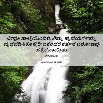 Picture 06 - ಯಾಕೋಬನು 5:8 KANIRV - ನೀವೂ - Bible Verse Picture