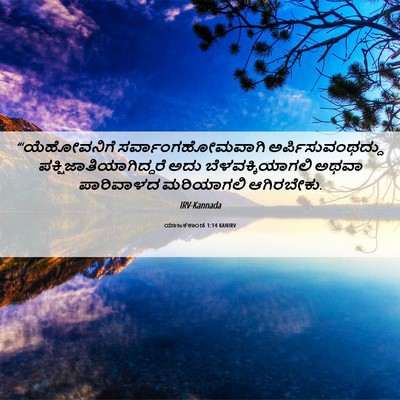 Picture 06 - ಯಾಜಕಕಾಂಡ 1:14 KANIRV - “‘ಯೆಹೋವನಿಗೆ - Bible Verse Picture