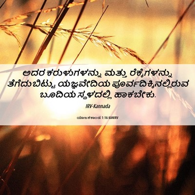 Picture 06 - ಯಾಜಕಕಾಂಡ 1:16 KANIRV - ಅದರ ಕರುಳುಗಳನ್ನು - Bible Verse Picture