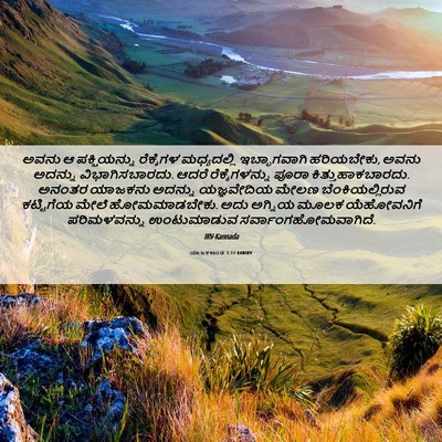 Picture 06 - ಯಾಜಕಕಾಂಡ 1:17 KANIRV - ಅವನು ಆ ಪಕ್ಷಿಯನ್ನು - Bible Verse Picture