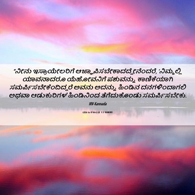 Picture 06 - ಯಾಜಕಕಾಂಡ 1:2 KANIRV - “ನೀನು - Bible Verse Picture