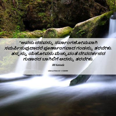 Picture 06 - ಯಾಜಕಕಾಂಡ 1:3 KANIRV - “‘ಅವನು ದನವನ್ನು - Bible Verse Picture