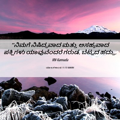 Picture 06 - ಯಾಜಕಕಾಂಡ 11:13 KANIRV - “‘ನಿಮಗೆ - Bible Verse Picture
