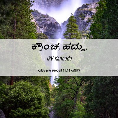 Picture 06 - ಯಾಜಕಕಾಂಡ 11:14 KANIRV - ಕ್ರೌಂಚ, - Bible Verse Picture